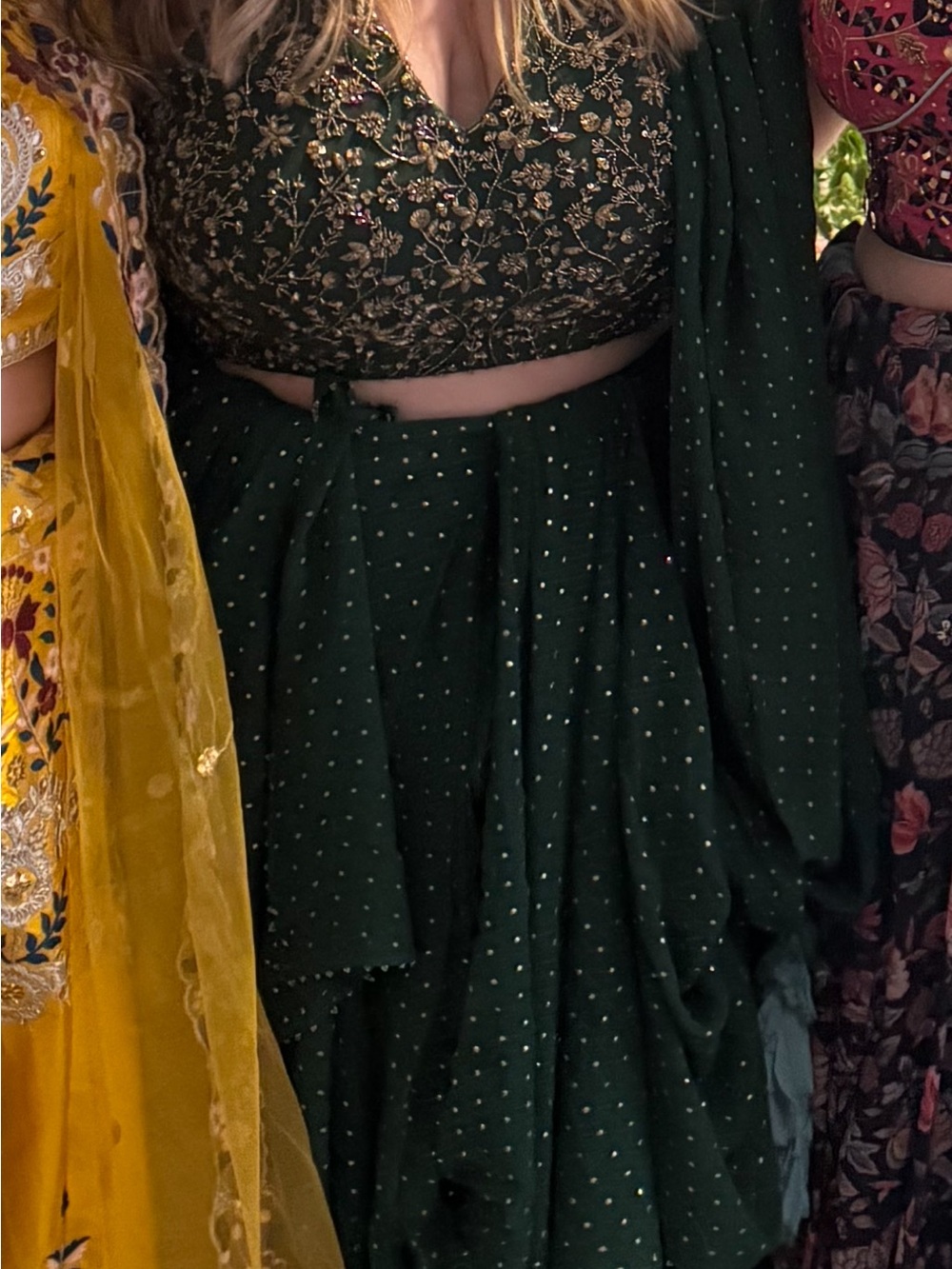 Sani Arian drape sari